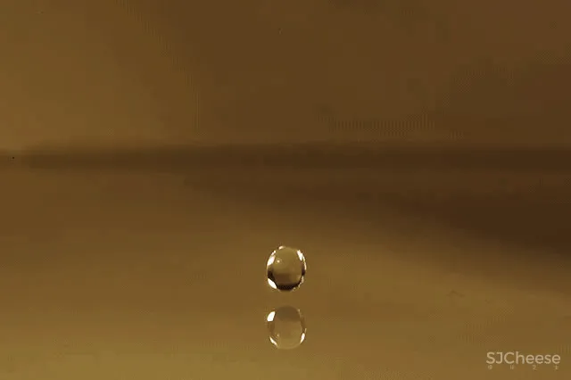 杜文彪|新作 沈阳「中海.领馆壹号」售楼部 |售楼处