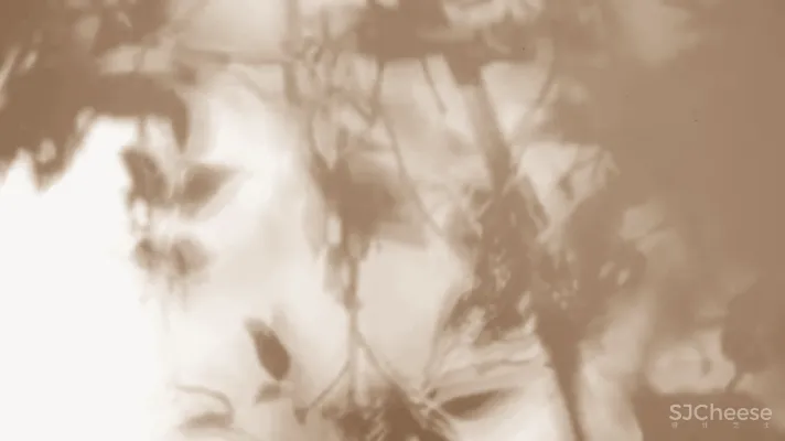 杜文彪|新作 沈阳「中海.领馆壹号」售楼部 |售楼处