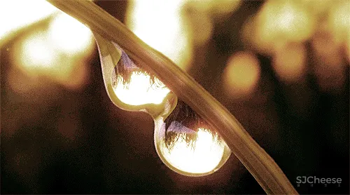 杜文彪|新作 沈阳「中海.领馆壹号」售楼部 |售楼处