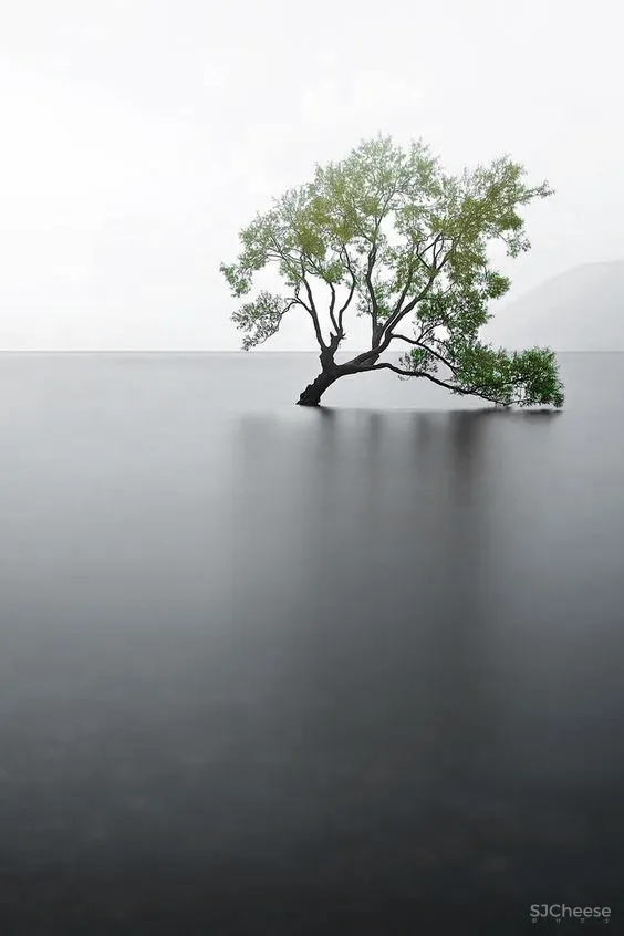 穿越自然的格林童话 金地·熙悦销售中心! | 锦鸾宫×默瑟设计