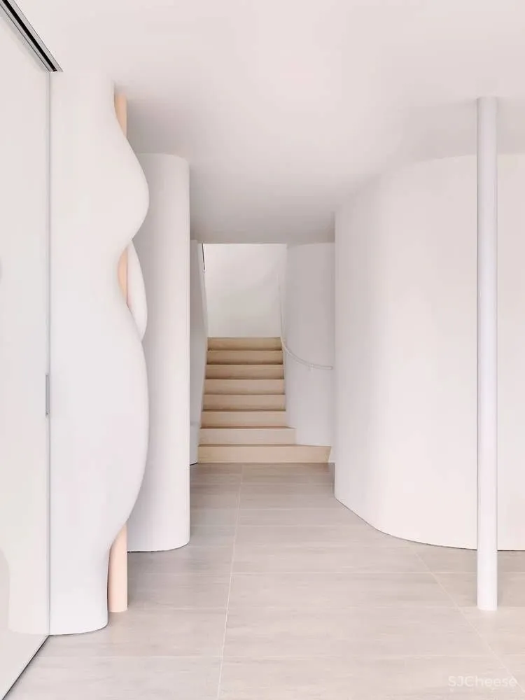 Softie Interior Renovation OPA Architects