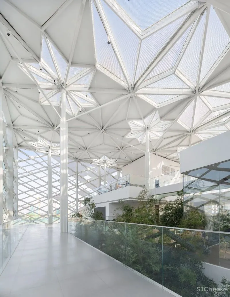 杉•艺术空间，“杉林秘境”中赴一场光影奇旅 RWD 黄志达