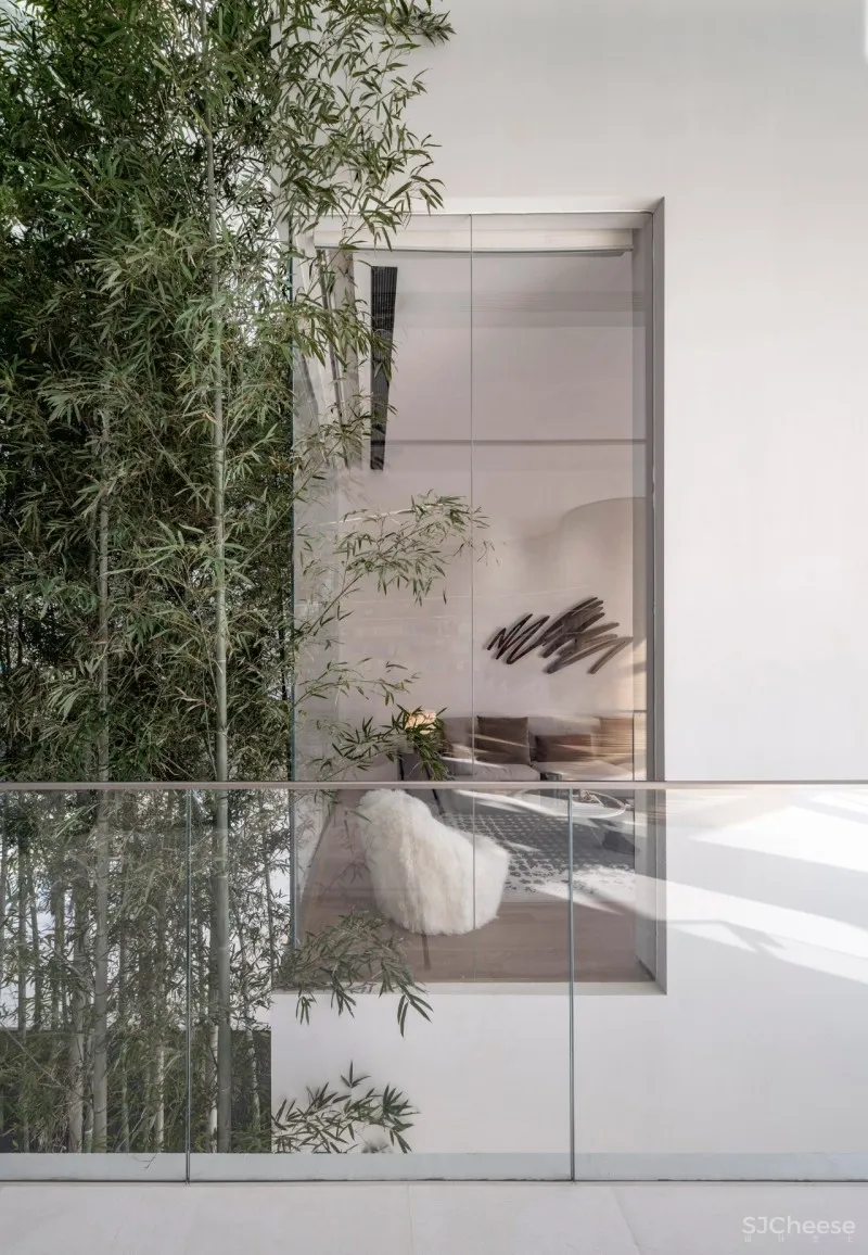 杉•艺术空间，“杉林秘境”中赴一场光影奇旅 RWD 黄志达