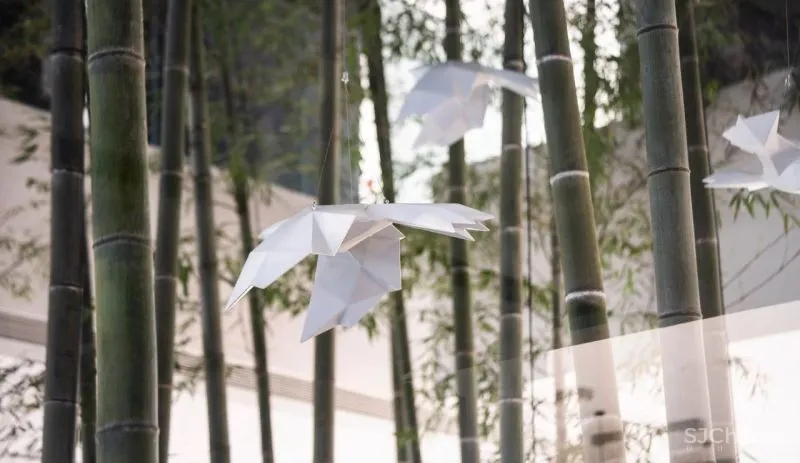 杉•艺术空间，“杉林秘境”中赴一场光影奇旅 RWD 黄志达