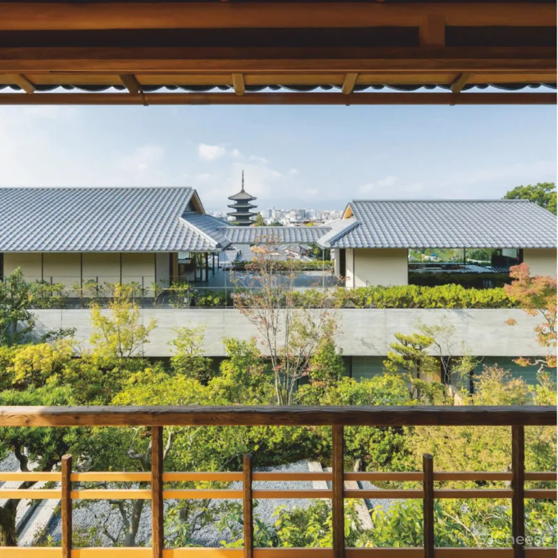 全球47家柏悦酒店:这一杯,敬天际线...