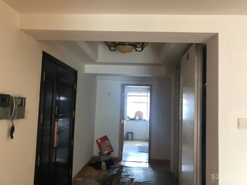 一个人的豪宅!90小伙买下195㎡江景房,猫房装「空调」,真的凡尔赛!