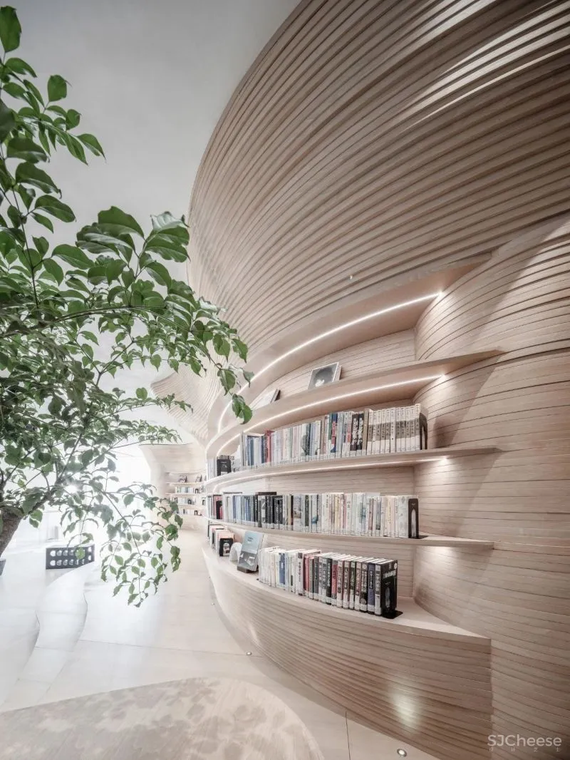 杉•艺术空间，“杉林秘境”中赴一场光影奇旅 RWD 黄志达