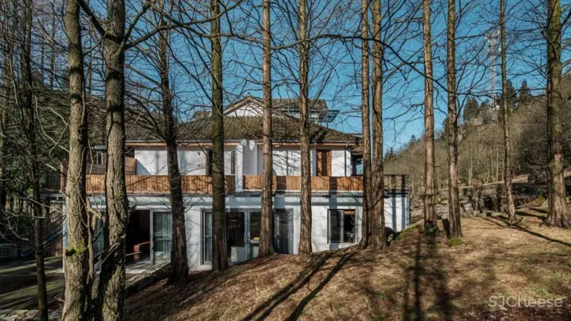 海力设计 × 杉语·民宿:低栖远居