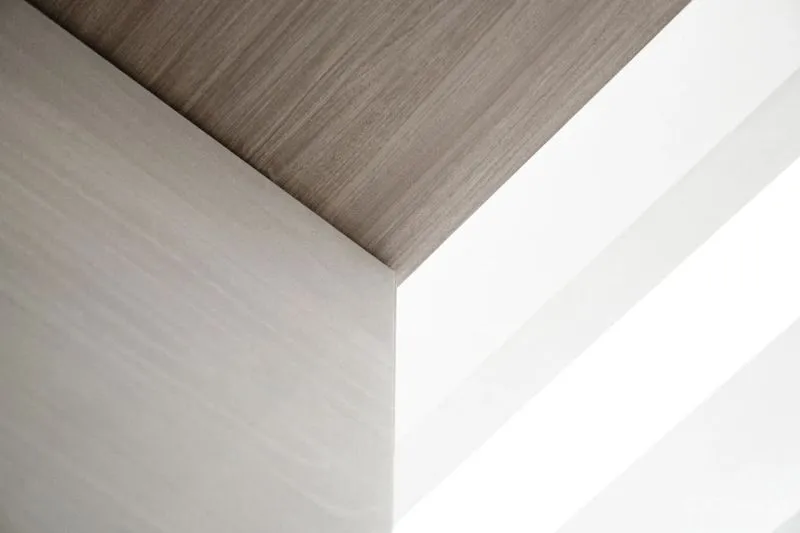 派尚设计:融合「光与自然」,勾勒现代极简大美!