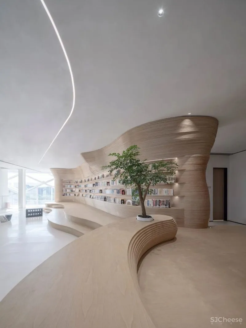 杉•艺术空间，“杉林秘境”中赴一场光影奇旅 RWD 黄志达