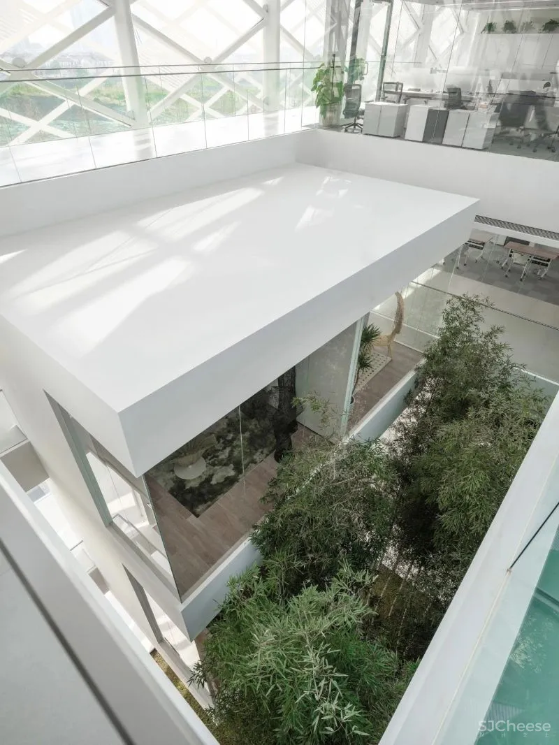 杉•艺术空间，“杉林秘境”中赴一场光影奇旅 RWD 黄志达