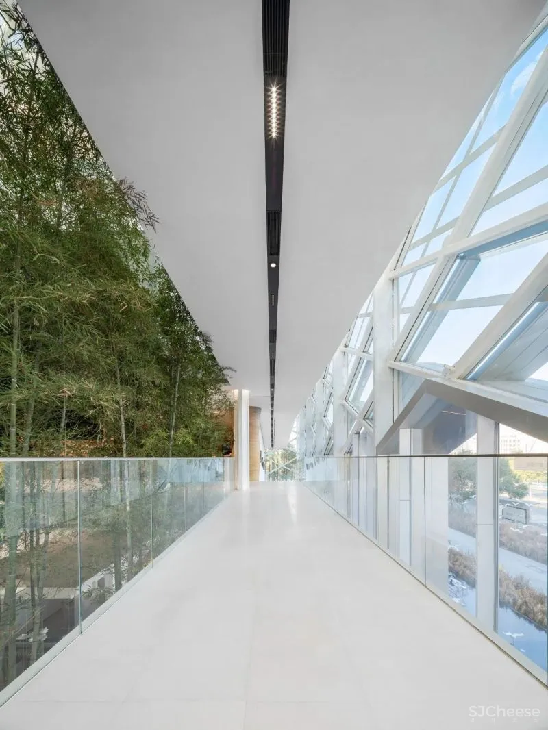 杉•艺术空间，“杉林秘境”中赴一场光影奇旅 RWD 黄志达