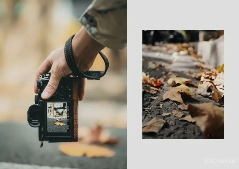 大朴-勿量:颜值与韵味并存,真正的老上海烟火气