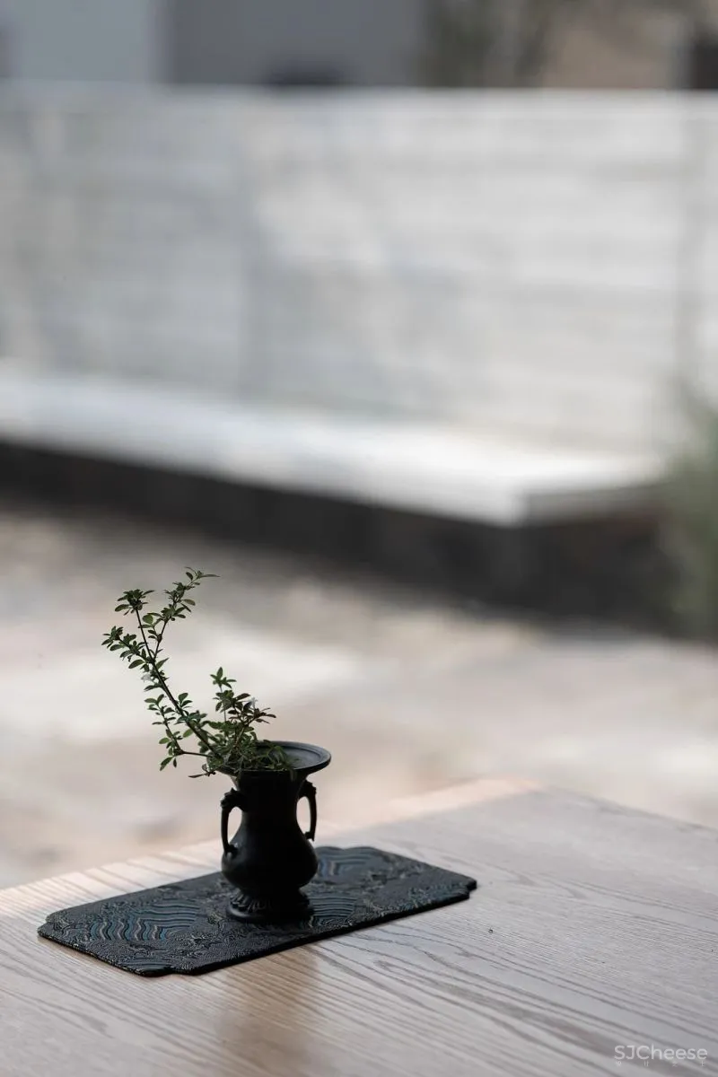 江南水乡民宿 返璞归真的桃花源