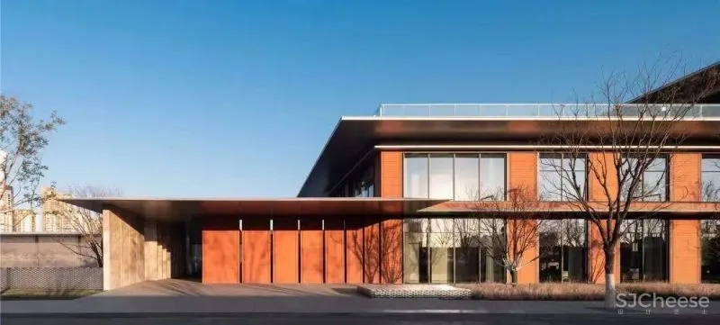 YuQiang - LSD 当代设计与艺术逻辑