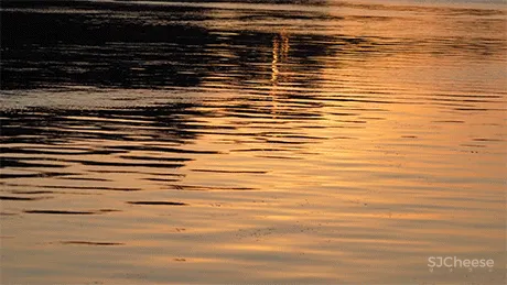 杜文彪 ｜新作 柔性之美 苏州德尔壹号院办公展示样板 ｜办公