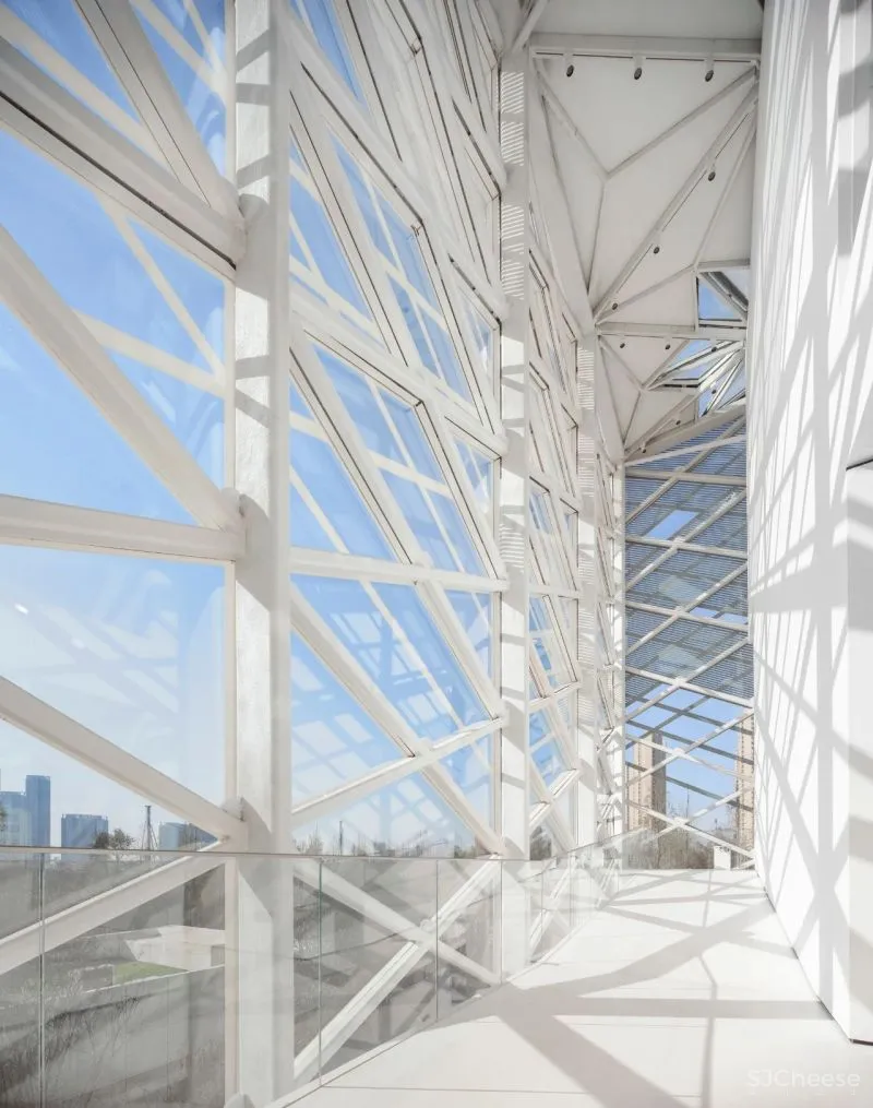 杉•艺术空间，“杉林秘境”中赴一场光影奇旅 RWD 黄志达