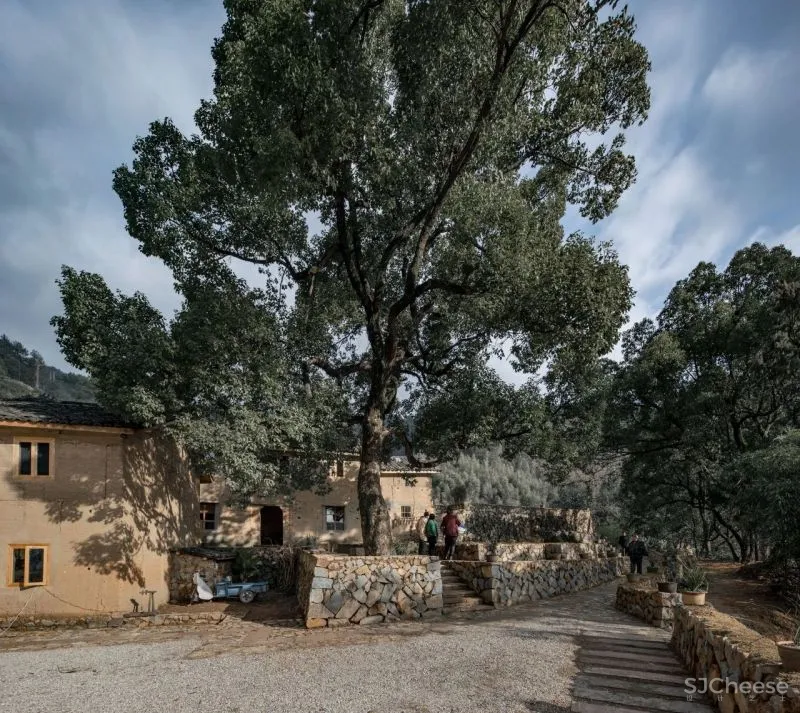 新作 原乡上田 DnA建筑事务所