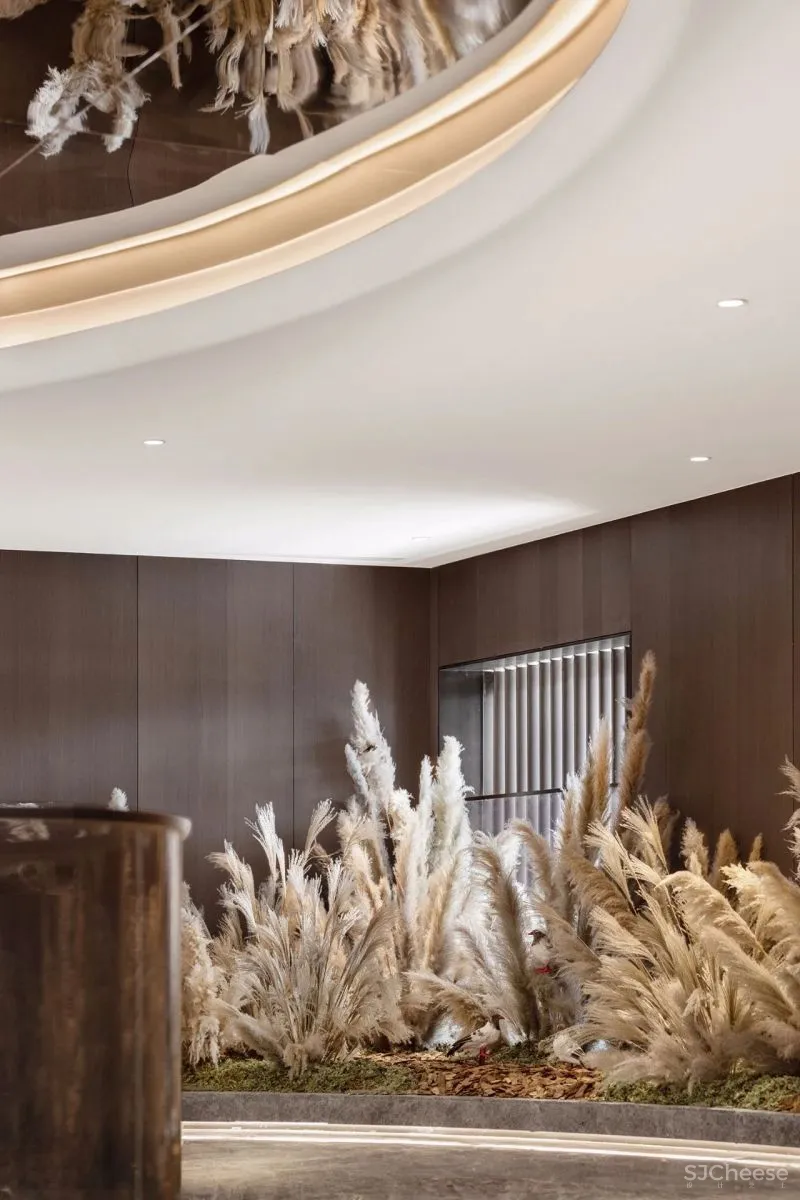 CLV-SUNS:追本溯源,东方幻境!