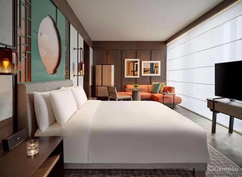 全球47家柏悦酒店:这一杯,敬天际线...