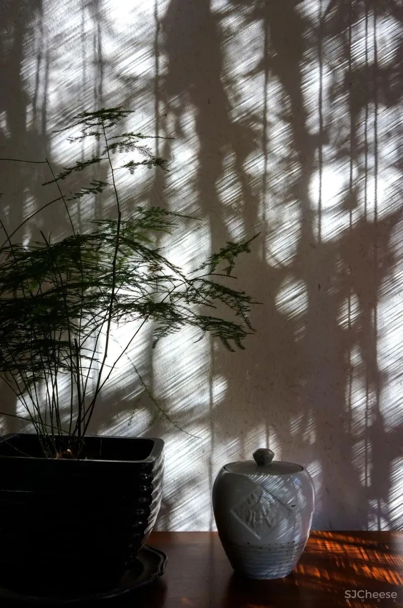 萧爱彬:二十年的蜕变,一步一景的惬意桃源