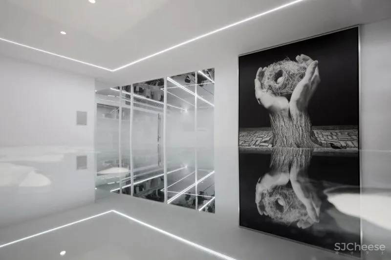 萧爱彬:二十年的蜕变,一步一景的惬意桃源