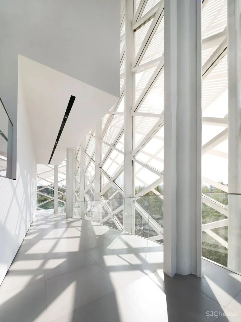 杉•艺术空间，“杉林秘境”中赴一场光影奇旅 RWD 黄志达