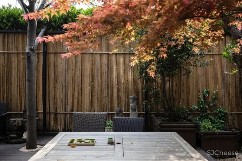 萧爱彬:二十年的蜕变,一步一景的惬意桃源