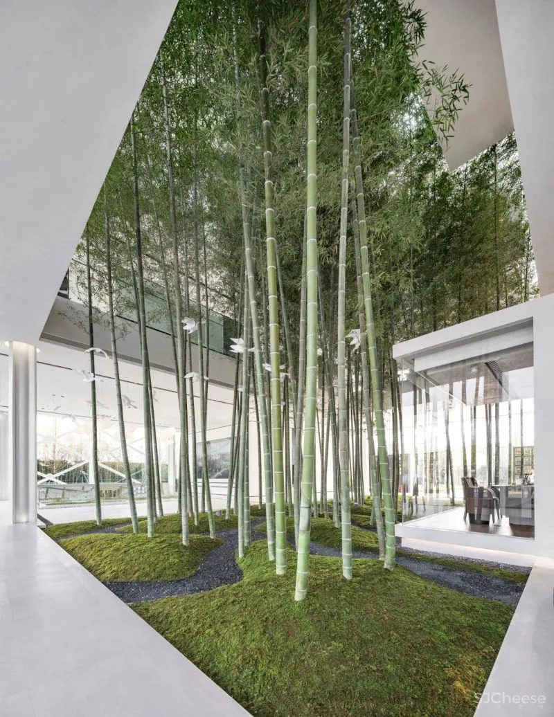 杉•艺术空间，“杉林秘境”中赴一场光影奇旅 RWD 黄志达