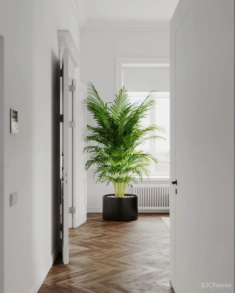 65㎡极简白的家，把卫生间放在“盒子”里，好看又显大！