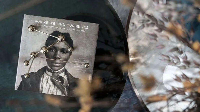 厚夫设计:轻雅金邂逅柔雾灰,百看不厌的魔力!