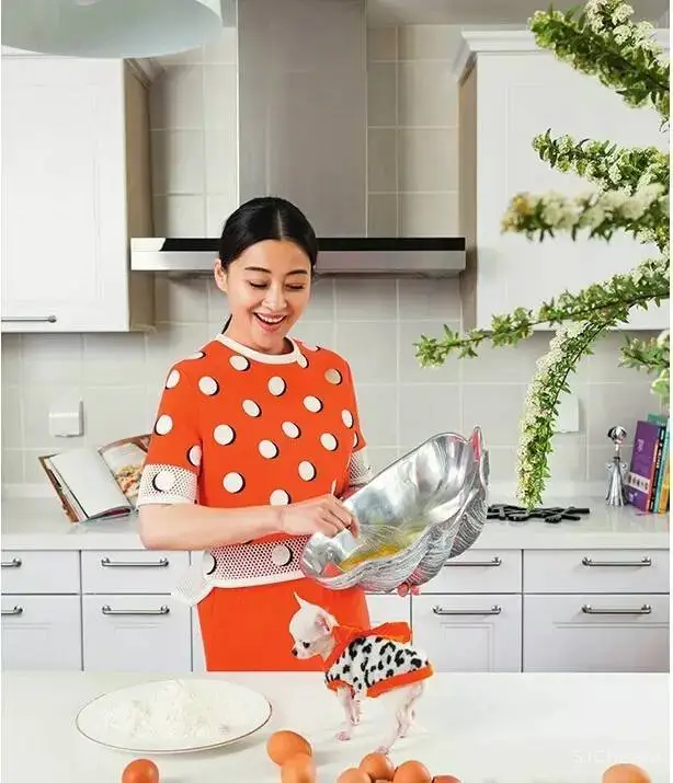 这5位女明星的家,堪称豪宅中的一股清流