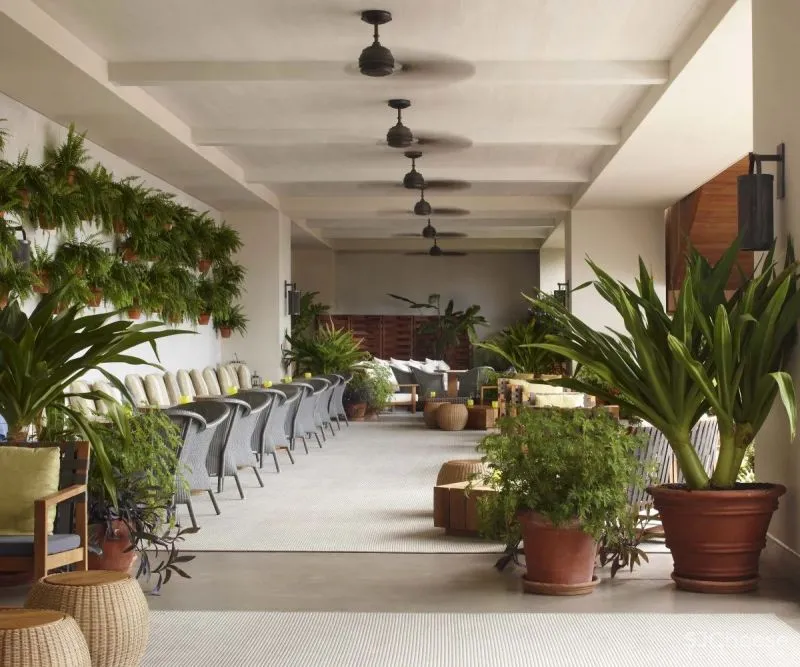 Yabu Pushelberg-夏威夷Edition现更名为Modern Honolulu