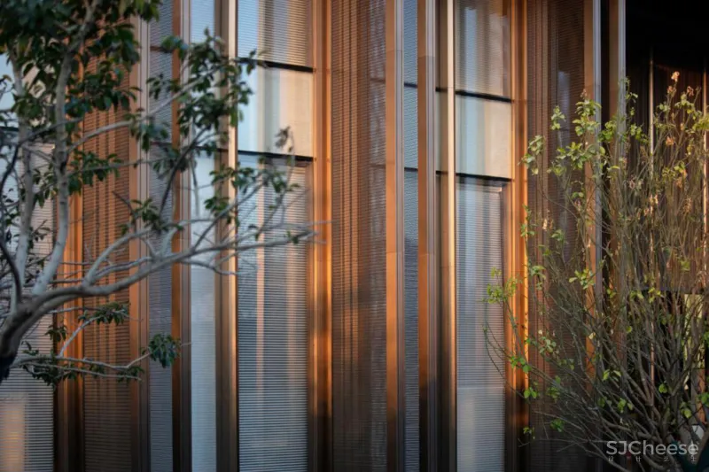 CLV-SUNS:追本溯源,东方幻境!