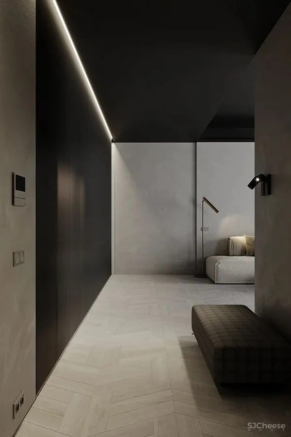 黑与白搭档的轻奢空间