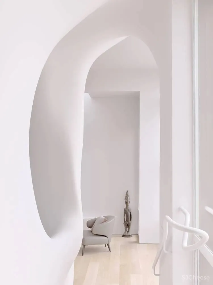 Softie Interior Renovation OPA Architects