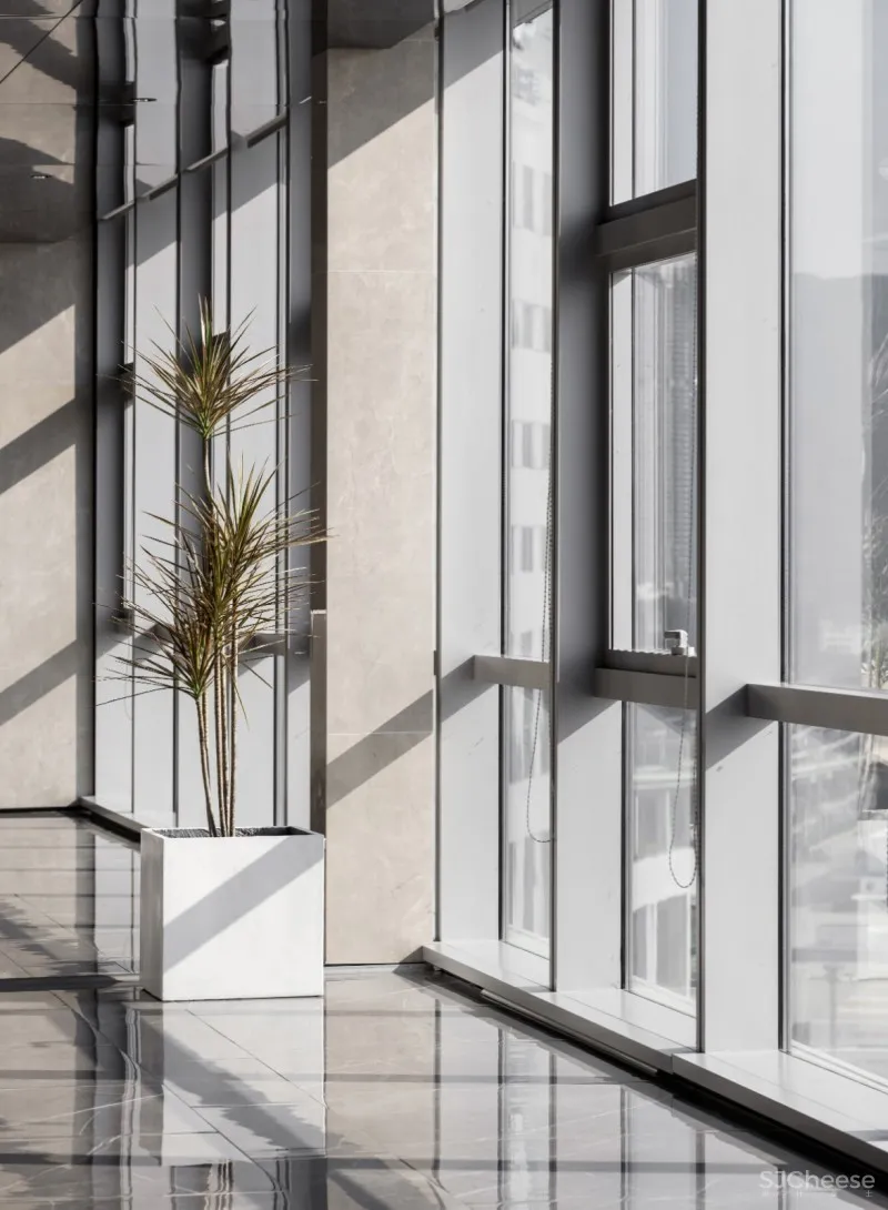 TT新作 | 我们在山海间,种下了一个海洋梦