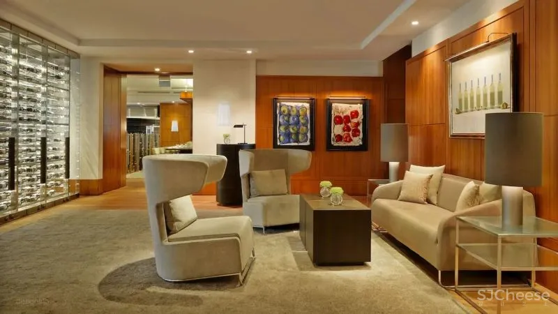 全球47家柏悦酒店:这一杯,敬天际线...