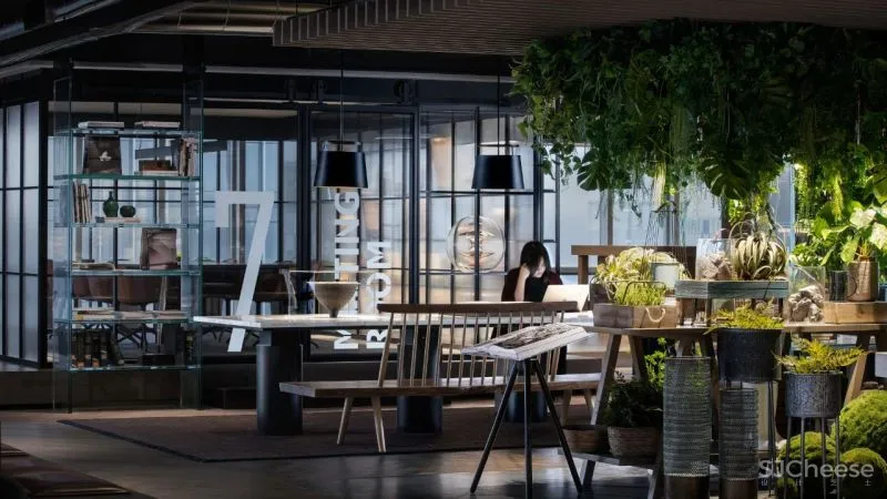 48F MIX MATCH湾区生活体验馆丨CCD