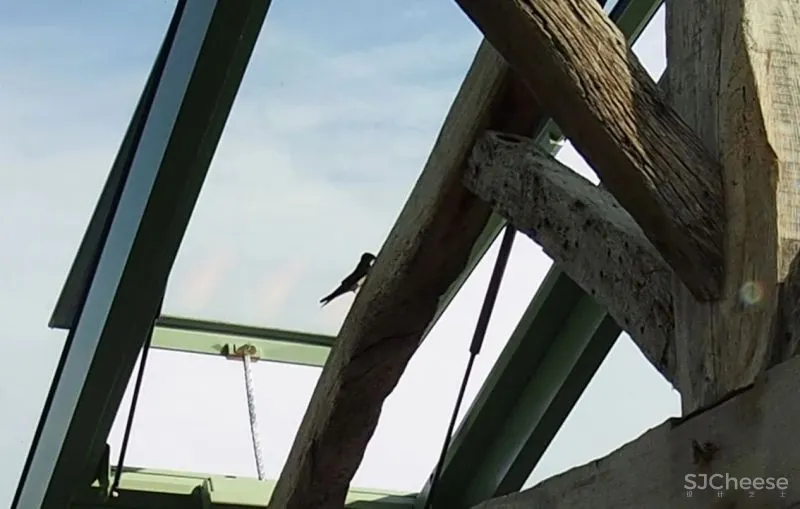 惬意时光爱上慢生活