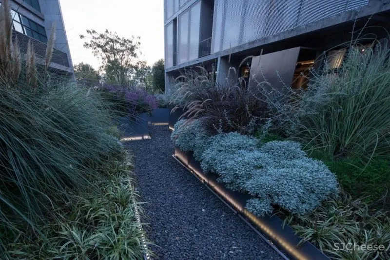 新作 Broadcast bo体验店咖啡区，上海 艾舍尔设计