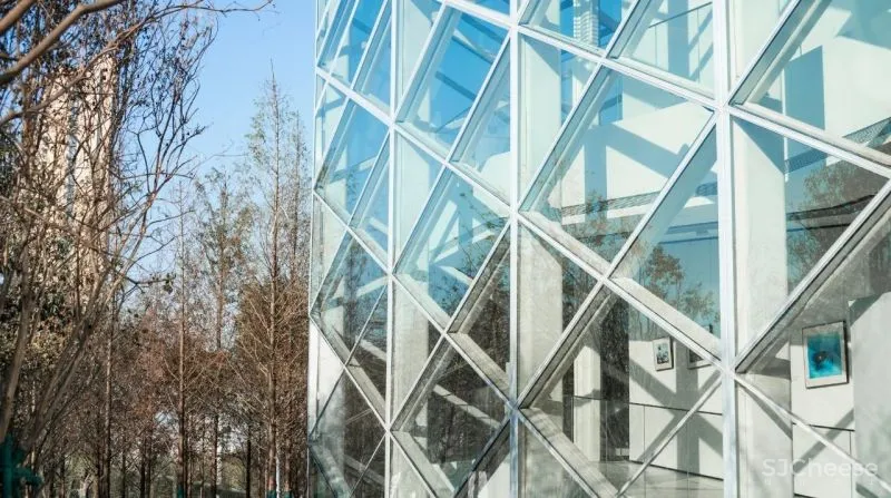 杉•艺术空间，“杉林秘境”中赴一场光影奇旅 RWD 黄志达