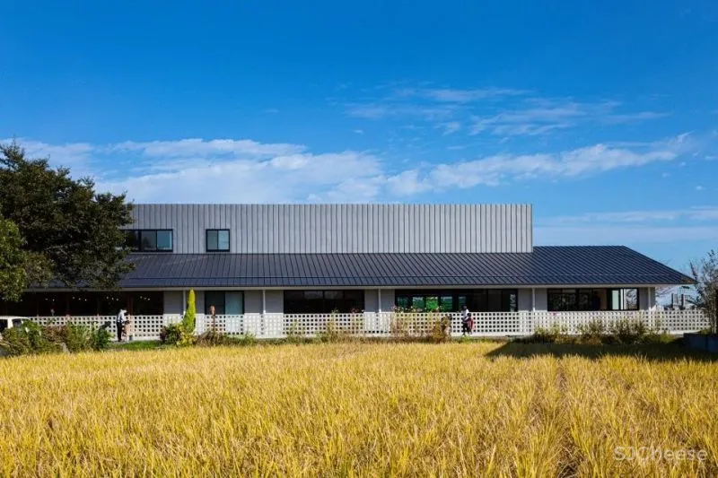 2021年首个火爆朋友圈的日本幼儿园,有钱人家的孩子无法想象的快乐!