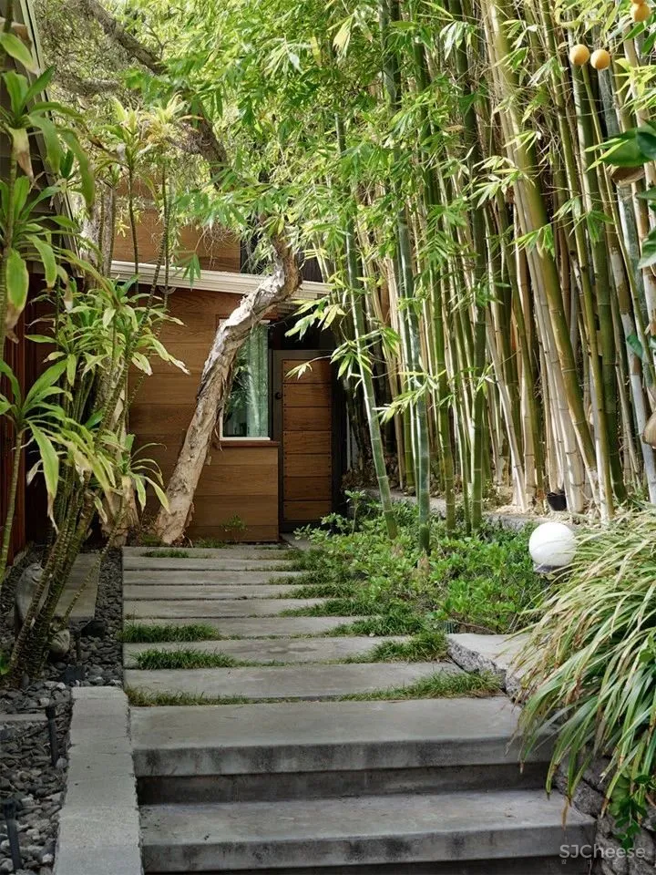 这5位女明星的家,堪称豪宅中的一股清流