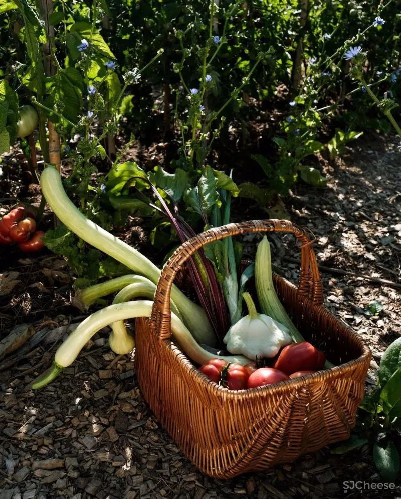 永 恒 的 静 修 一千多年历史的意大利城堡庄园酒店揭幕!