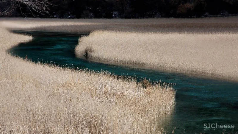 这样的极简设计，真高级！