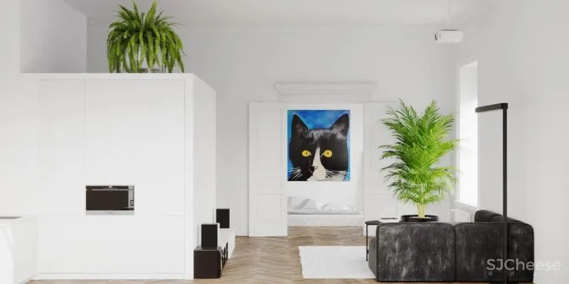 65㎡极简白的家，把卫生间放在“盒子”里，好看又显大！