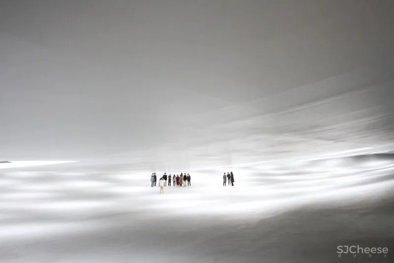 石上纯也新作,屋顶有59个洞,却没一根柱子!