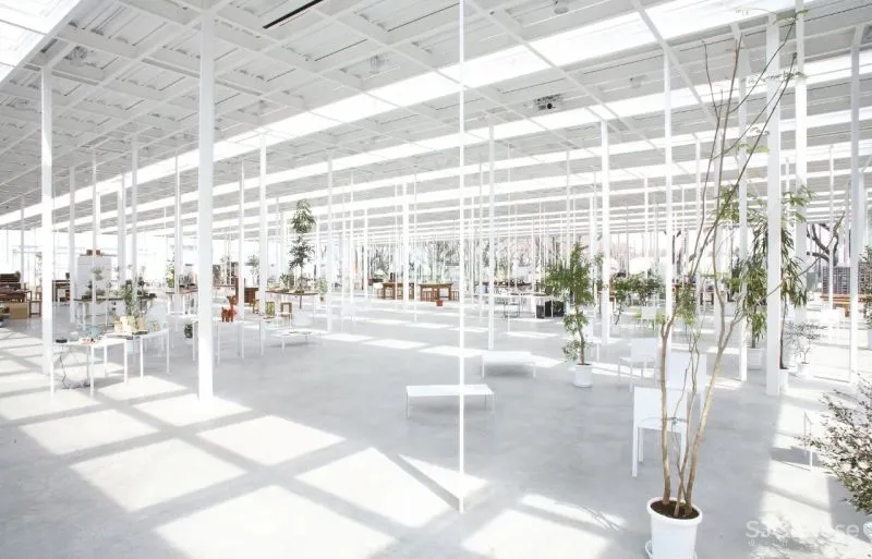 石上纯也新作,屋顶有59个洞,却没一根柱子!