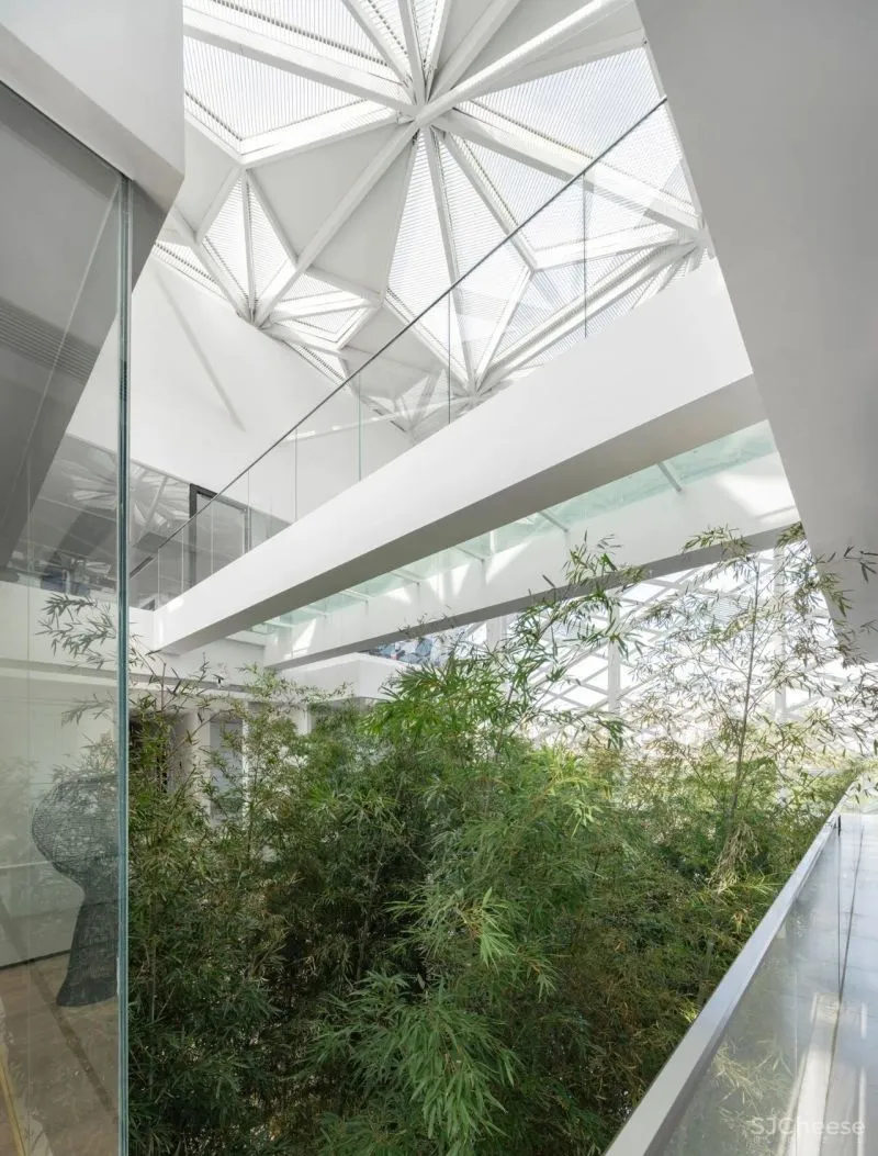 杉•艺术空间，“杉林秘境”中赴一场光影奇旅 RWD 黄志达